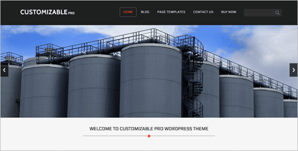 Customize Flexible WordPress Template