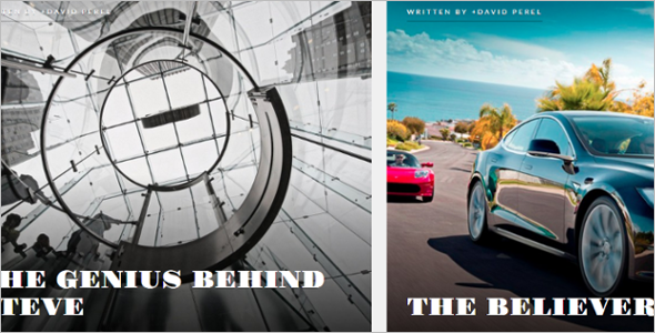 Download Author WordPress Template