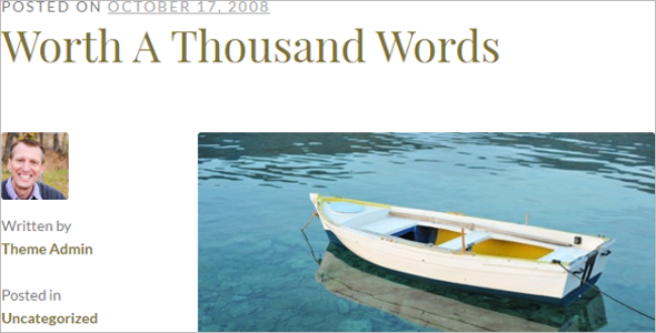 Download Godaddy WordPress Template