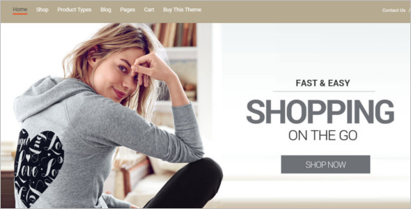 Elegant E-commerce WordPress Template