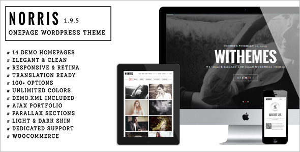 Elegant OnePgae Parallax WordPress Template