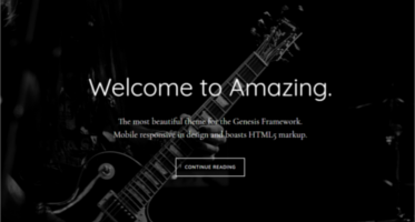 Genesis WordPress Themes