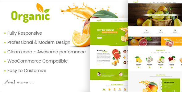 Healthy WooCommerce WordPress Template