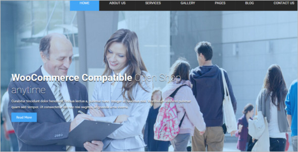 Local Business Project WordPress Template