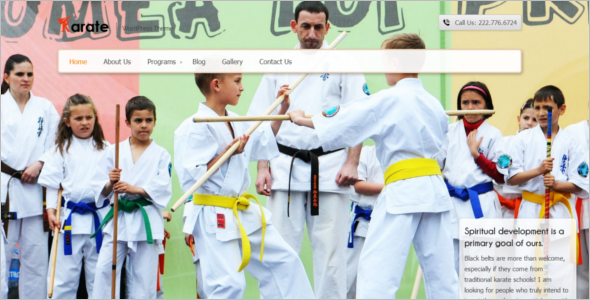 Martial Arts WordPress Plugin Template