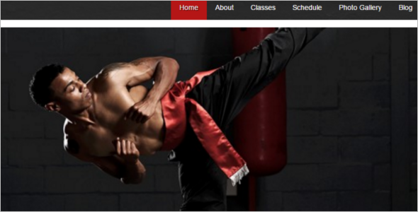 17+ Martial Arts WordPress Themes Free Website Templates