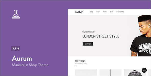 Minimalist Shopping WordPress Template