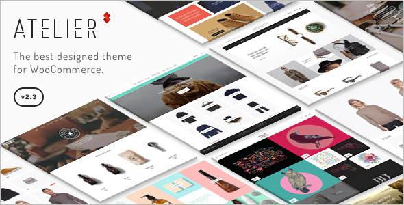 Multi-Purpose Functional WordPress Template