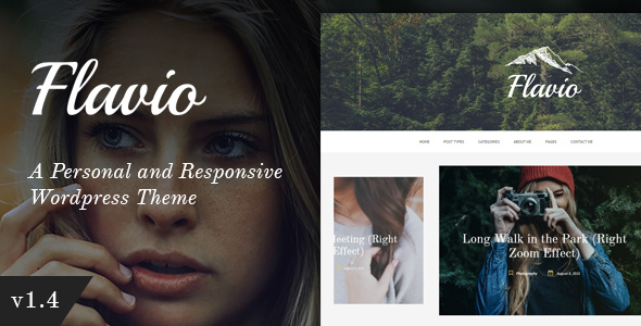  Popular Premium WordPress Template