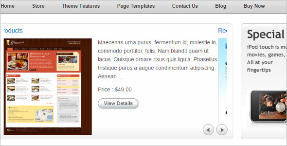 Portifolio Shopping WordPress Template