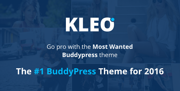 Pro Community Sell WordPress Template