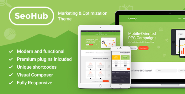 Professional Digital Marketing WordPress Theme
