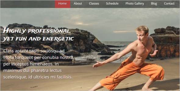 Professional Martial Arts Website Template
