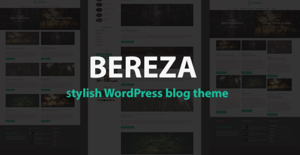 Responsive Blog WordPress Template