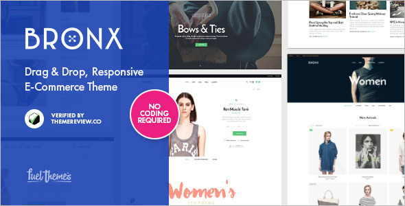 Responsive Functonal WordPress Template