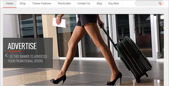 Responsive Shopping WordPress Template