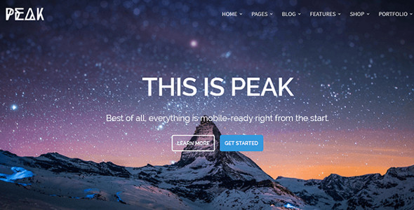 Retina WordPress Themes