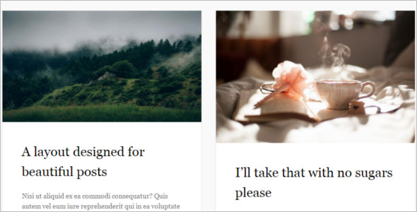 Simple Author WordPress Template