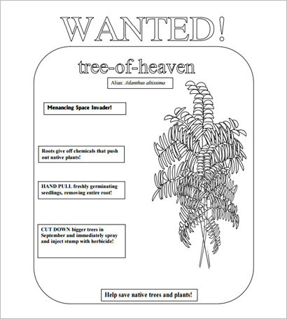 Tree of Heaven Most Wanted Poster Template