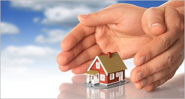 Insurance Website Themes