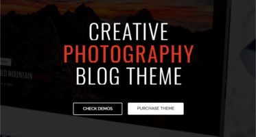 Premium WordPress Blog Themes