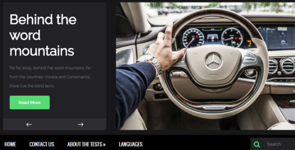 professional website theme