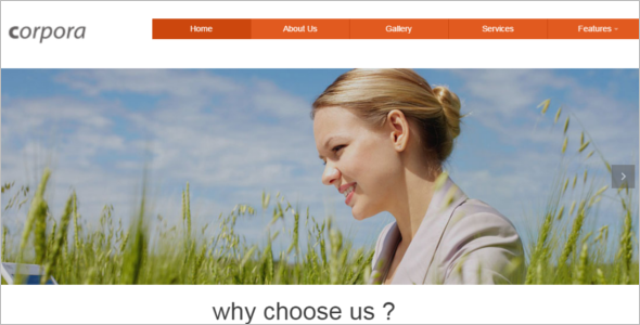 Customize HTML 5 Website Template