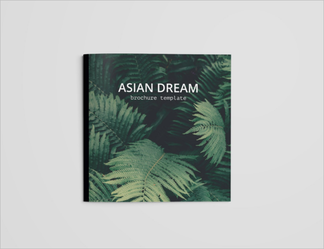 Dream Travel Brochure Design