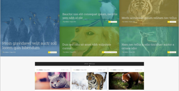 E-commerce Pet Magento Theme