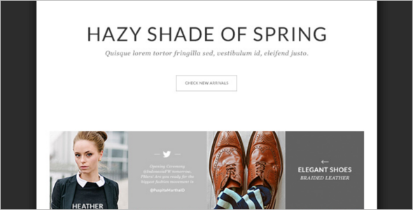 Elegant E-commerce PSD Template