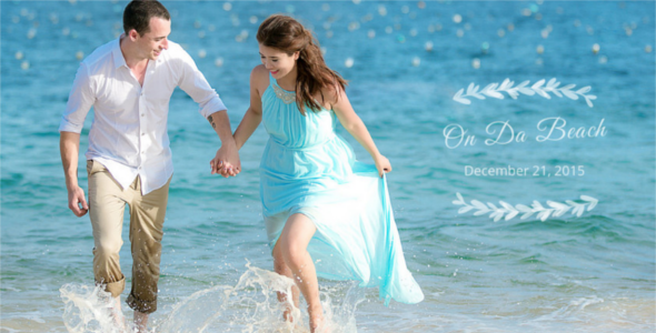 Beach Website Templates