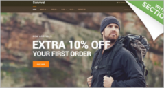 31+ Shopify Blog Themes & Templates