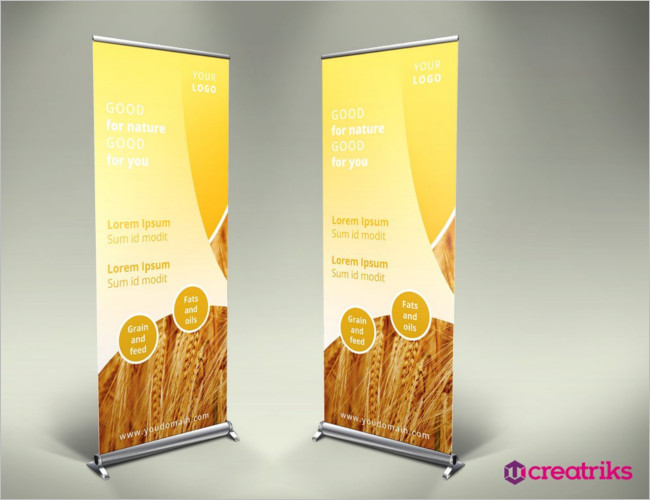 Global Meeting Flyer Designs