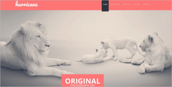Photographer Portfolio Website Template