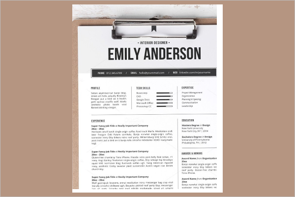 Resume MAC Excel Template
