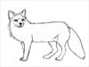 40+ Printable Fox Templates Free Design Templates