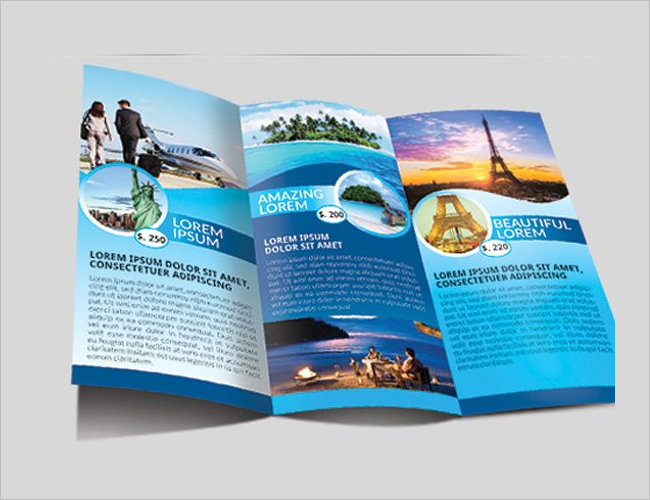 Trifold Interior Brochure Decoration