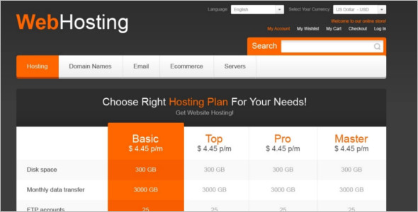 Web Hosting Magento Template
