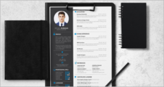 23+ Free Resume Example Templates