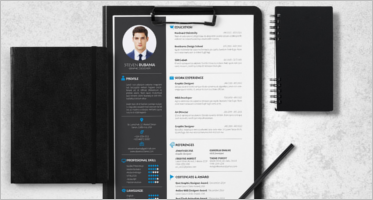 Free Resume Example Templates