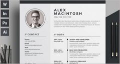 20+ Free Infographic Resume Templates