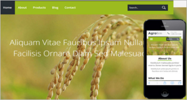 Mobile HTML5 CSS3 Website Templates
