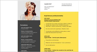 Automobile Resume Templates