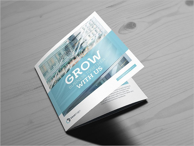 Main Square Trifold Brochure