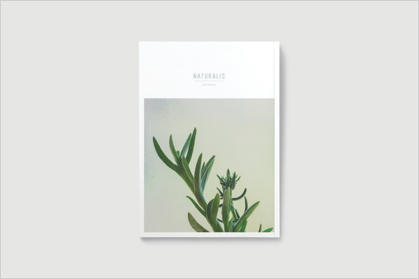 Design Online Magazine Outlook