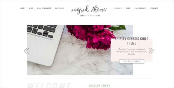 Download E-Commerce WordPress Theme