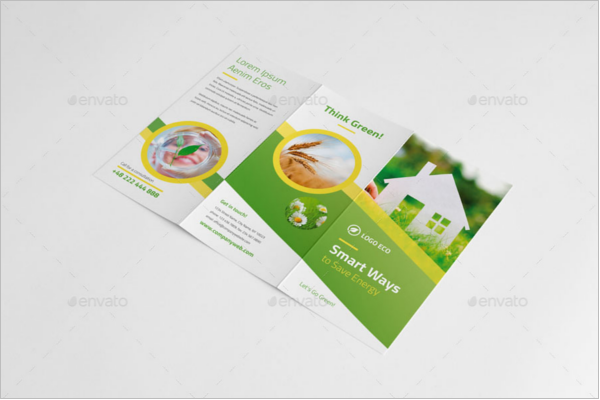 Eco-Friendly Green Brochures Design