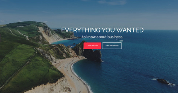 Elagant Free WordPress Theme