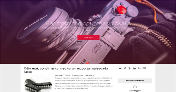 Free Professional WordPress Template
