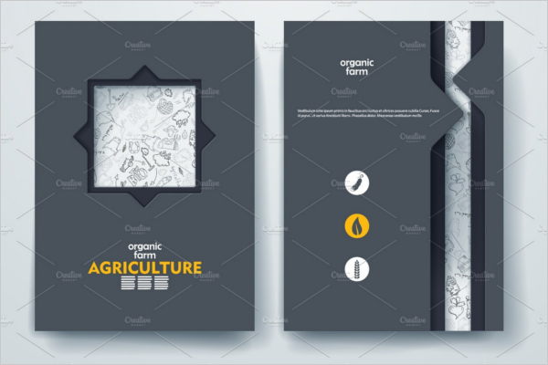 Graphic Scrap Book Brochure Ideas